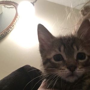 Meet your Posher, Hope